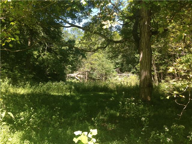 4586 Bull Run Road Ashland City, TN 37015 - Photo 1 of 20 Gallery Image 1