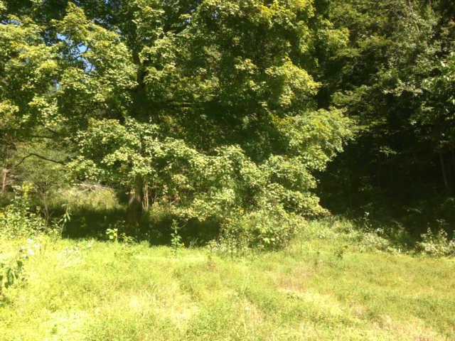 4586 Bull Run Road Ashland City, TN 37015 - Photo 14 of 20 Gallery Image 14