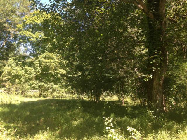 4586 Bull Run Road Ashland City, TN 37015 - Photo 19 of 20 Gallery Image 19
