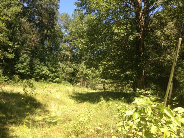 4586 Bull Run Road Ashland City, TN 37015 - Photo 20 of 20 Gallery Image 20