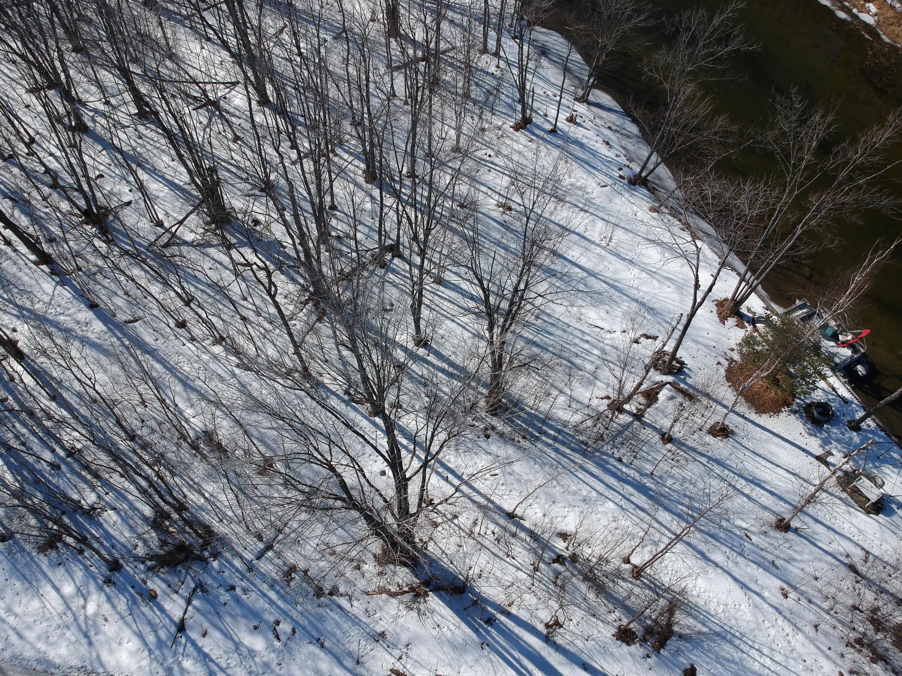 5464 Mission Road Alanson, MI 49706 - Photo 9 of 38 Gallery Image 9