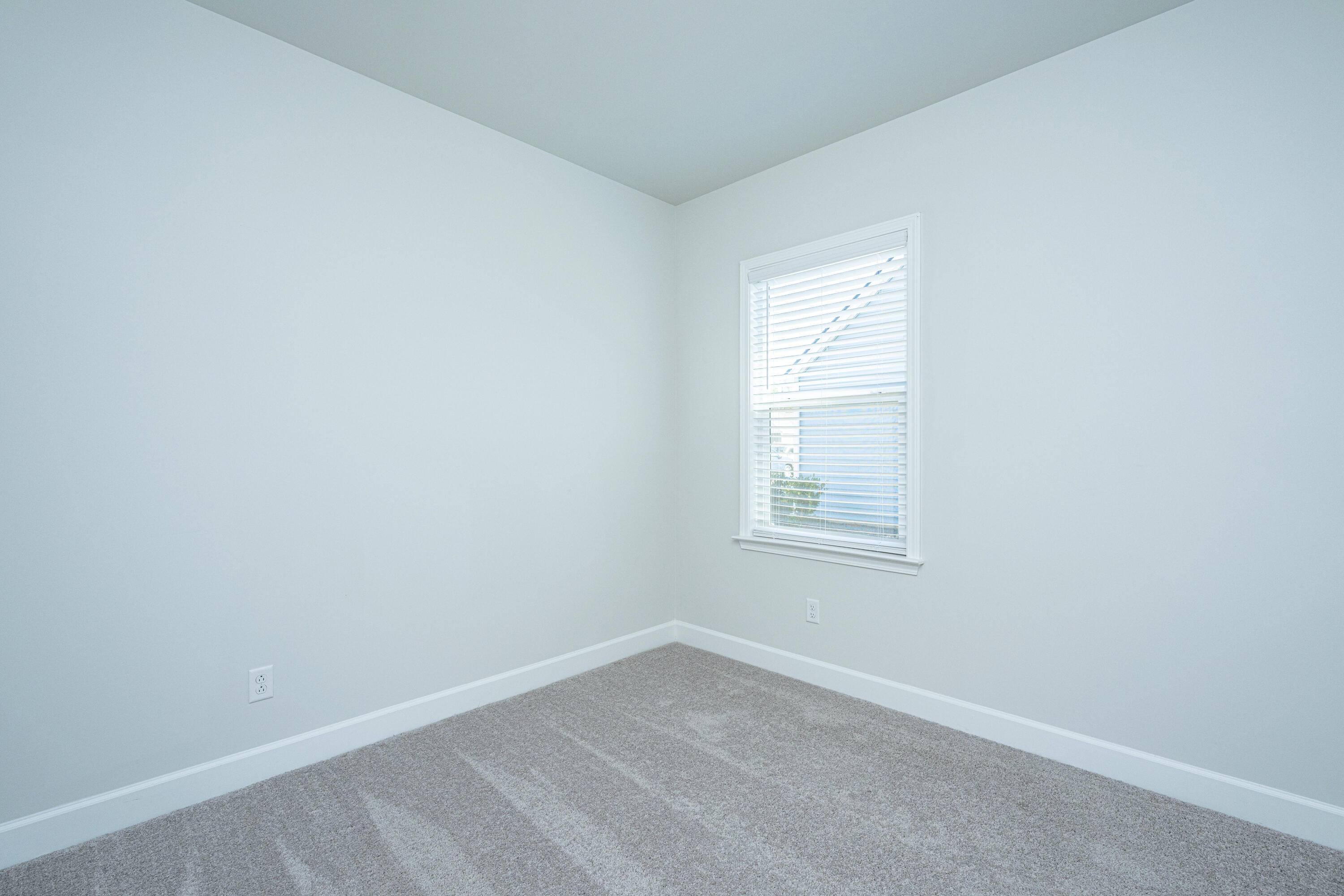 117 Royal Cainhoy Way Huger, SC 29450 - Photo 23 of 37 Bedroom 1 window