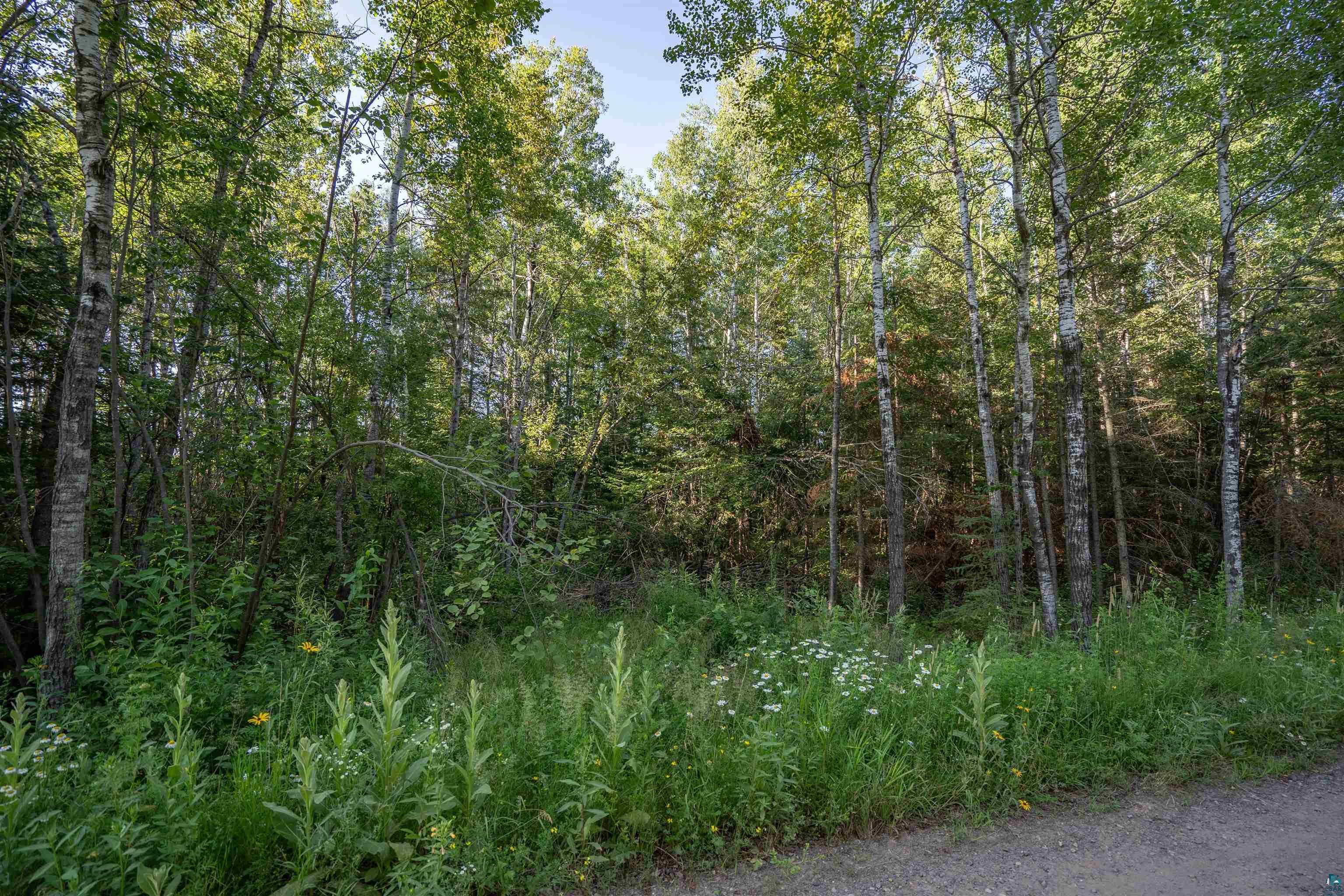 2-xx Green Haven Road Duluth, MN 55810 - Photo 9 of 13
