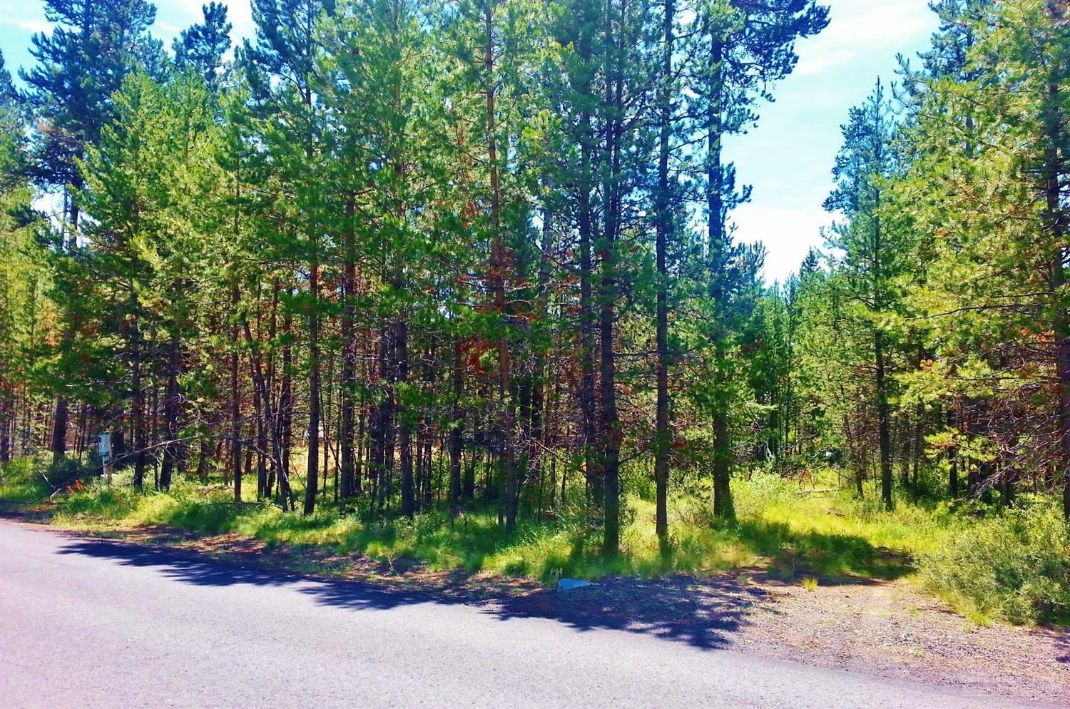 56082 Snow Goose Road Bend, OR 97707 - Photo 1 of 8 Primary Photo