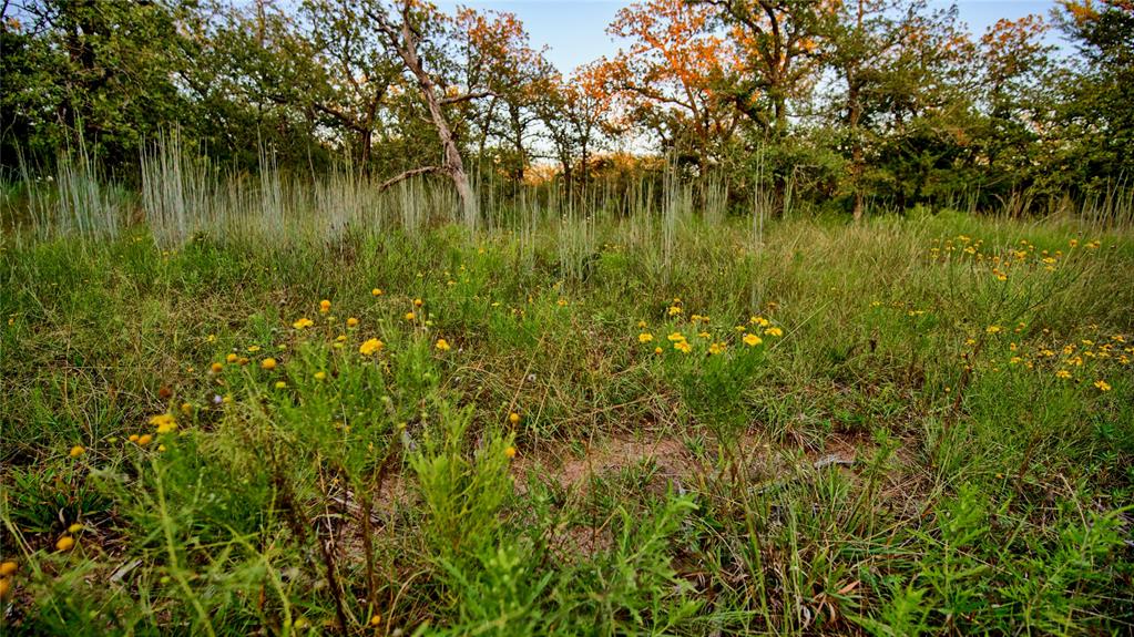 Lot 34 Red Oak Hills Road Nocona, TX 76255 - Photo 19 of 24 a view of a lake view