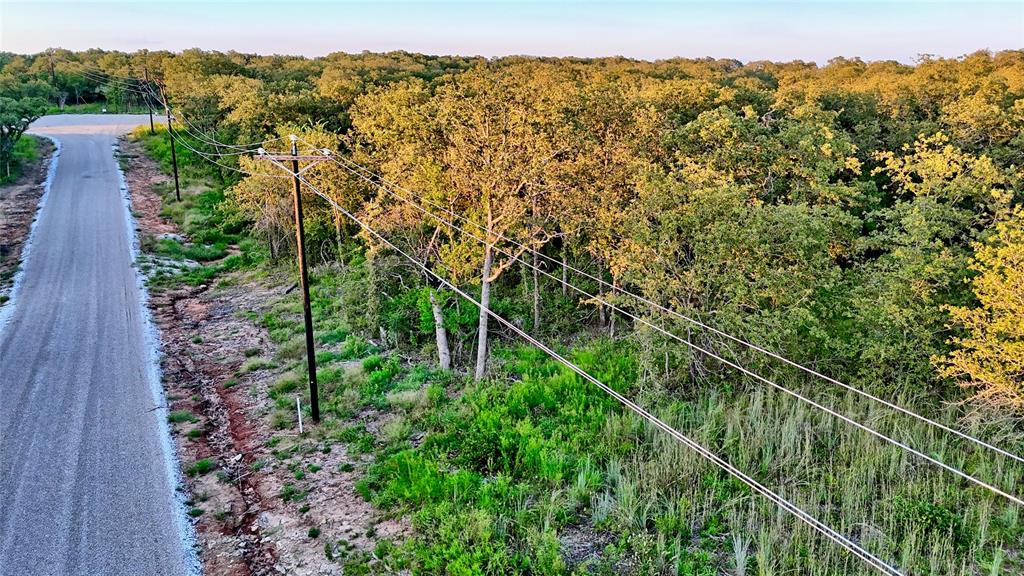 Lot 34 Red Oak Hills Road Nocona, TX 76255 - Photo 8 of 24 a view of a field with a tree