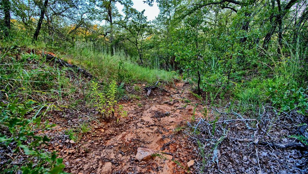 Lot 34 Red Oak Hills Road Nocona, TX 76255 - Photo 10 of 24