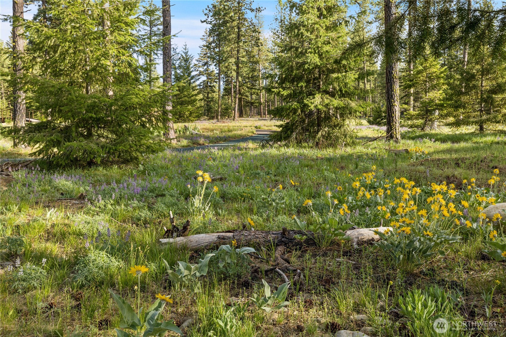 29 Wanawish Loop Cle Elum, WA 98922 - Photo 17 of 38