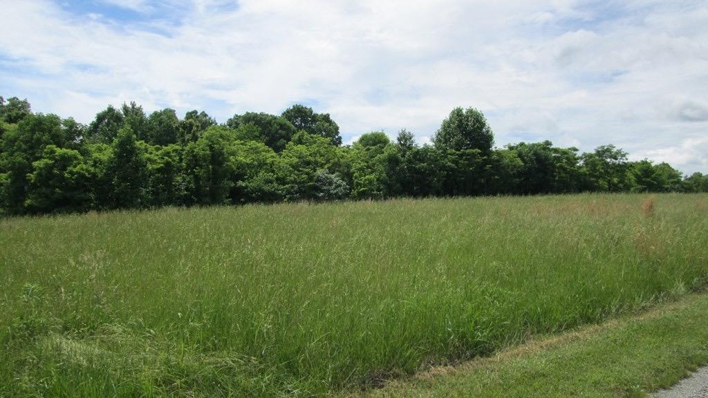 4 Hester Ridge Road Wallingford, KY 41093 - Photo 3 of 3 Photo 3