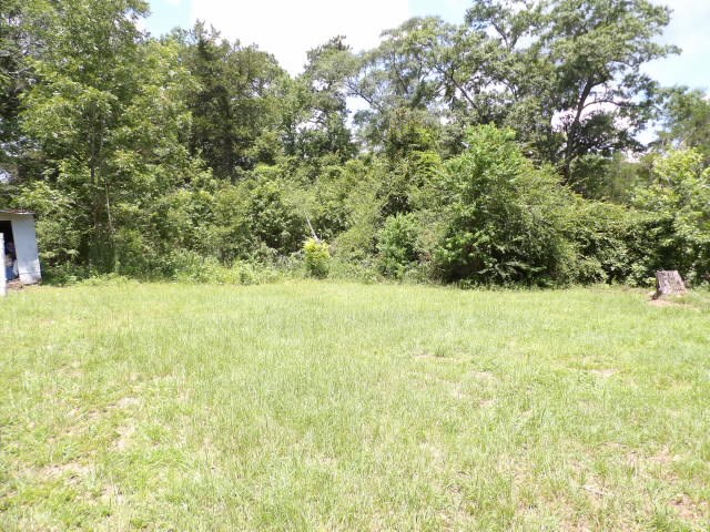 1705 County Road 119 Abbeville, AL 36310 - Photo 15 of 16