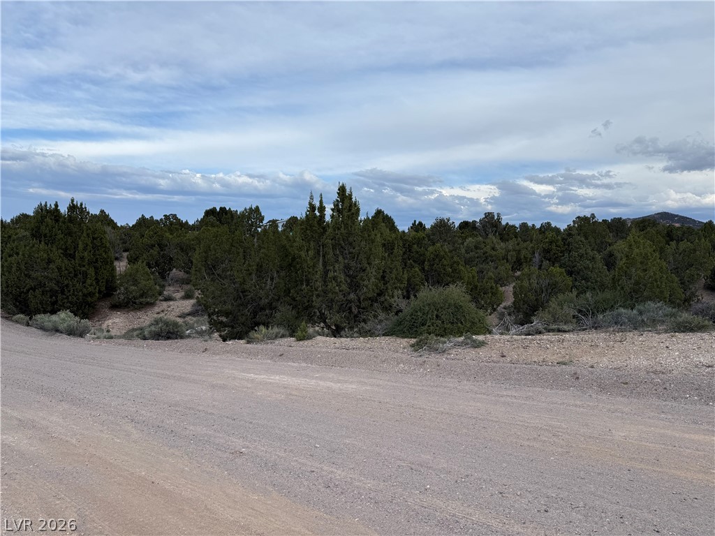 0 Timber Crest Way Pioche, NV 89043 - Photo 2 of 9
