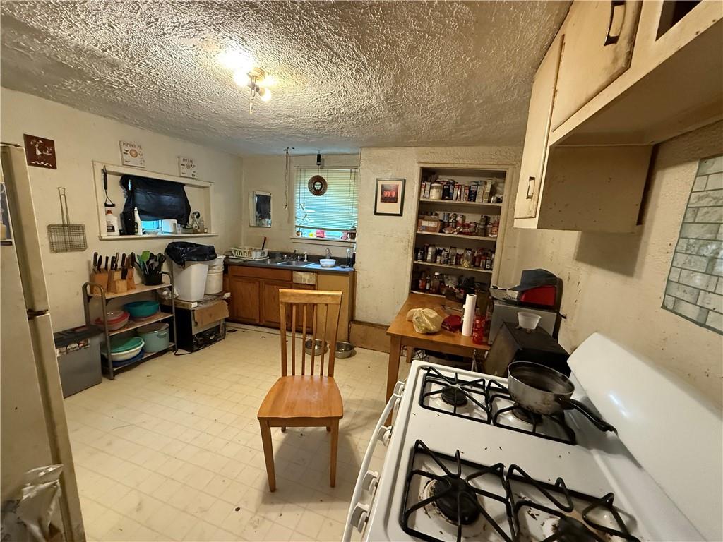 117 Charles Street Pittsburgh, PA 15210 - Photo 7 of 17