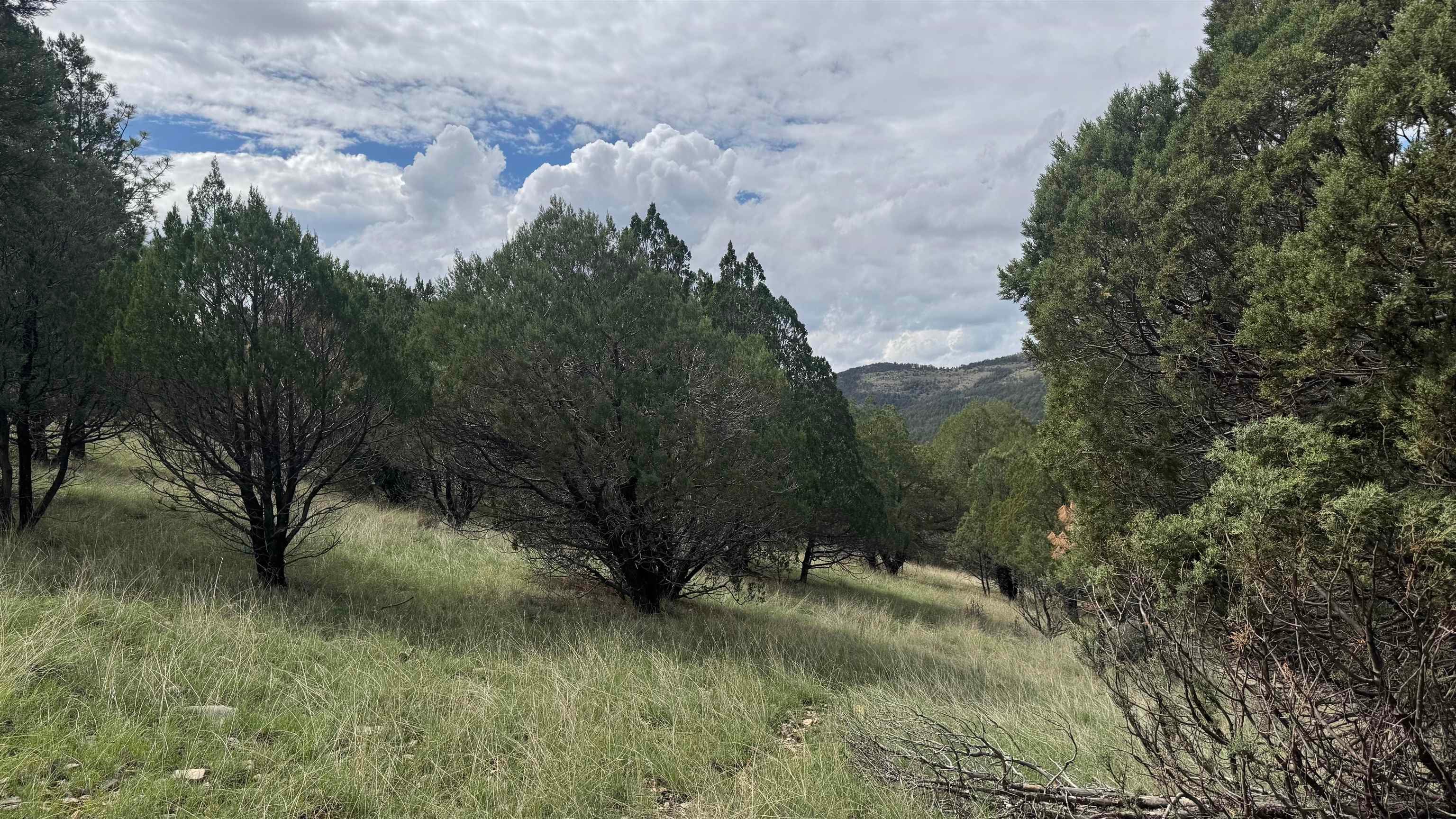 1826 B Rio Penasco Road Mayhill, NM 88339 - Photo 1 of 8 Gallery Image 1