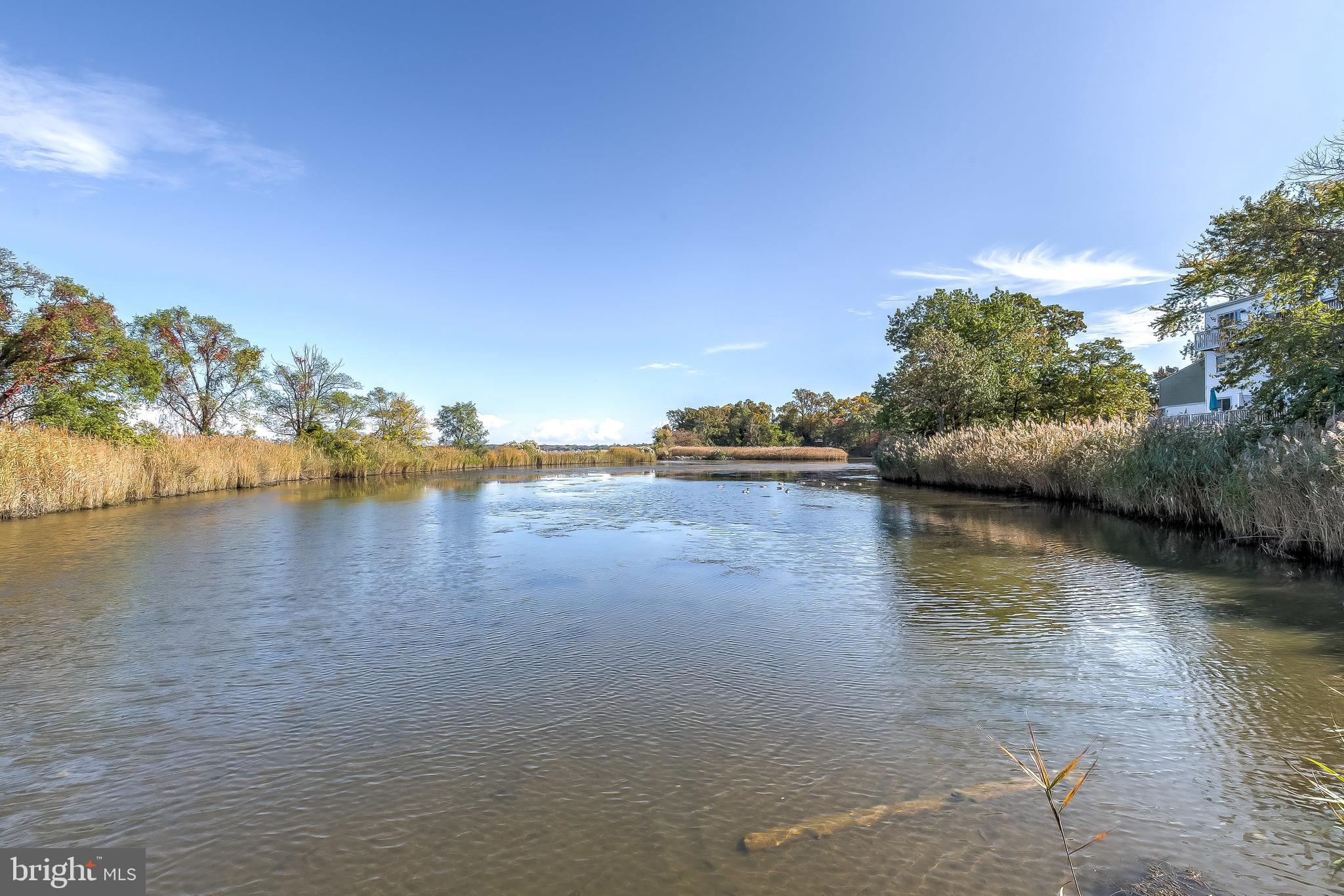 271 Kenwood Road Pasadena, MD 21122 - Photo 39 of 54 Pond
