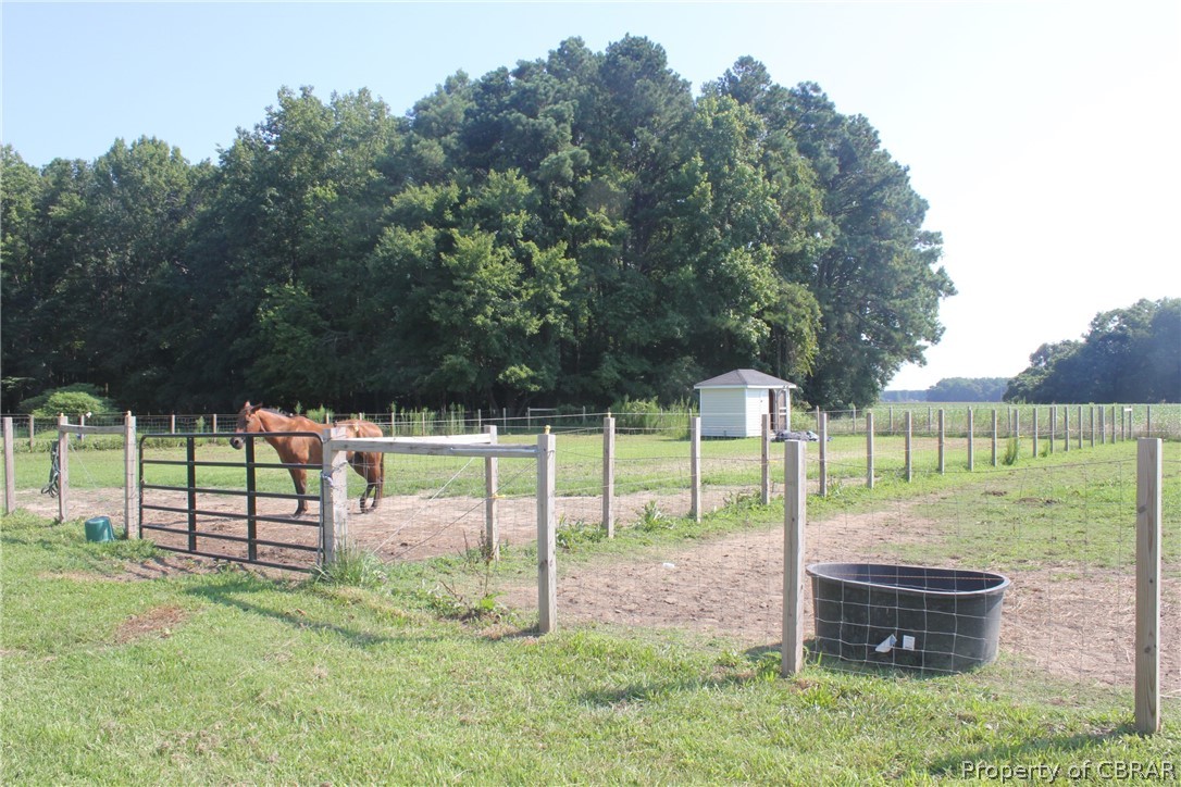 1195 Buckley Hall Road Dutton, VA 23050 - Photo 21 of 47 a garden view