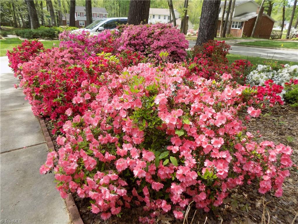 1702 Scarborough Road High Point, NC 27265 - Photo 2 of 25 Gallery Image 2
