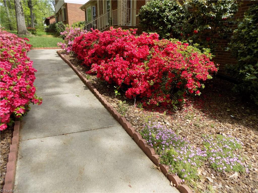 1702 Scarborough Road High Point, NC 27265 - Photo 4 of 25 Gallery Image 4