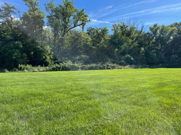 a view of a green field with clear tree
