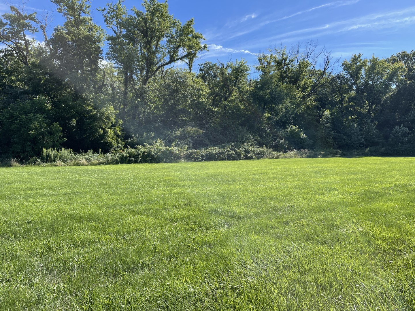 4052 Foxborough Drive Kankakee, IL 60901 - Photo 5 of 10 a view of a green field with clear tree