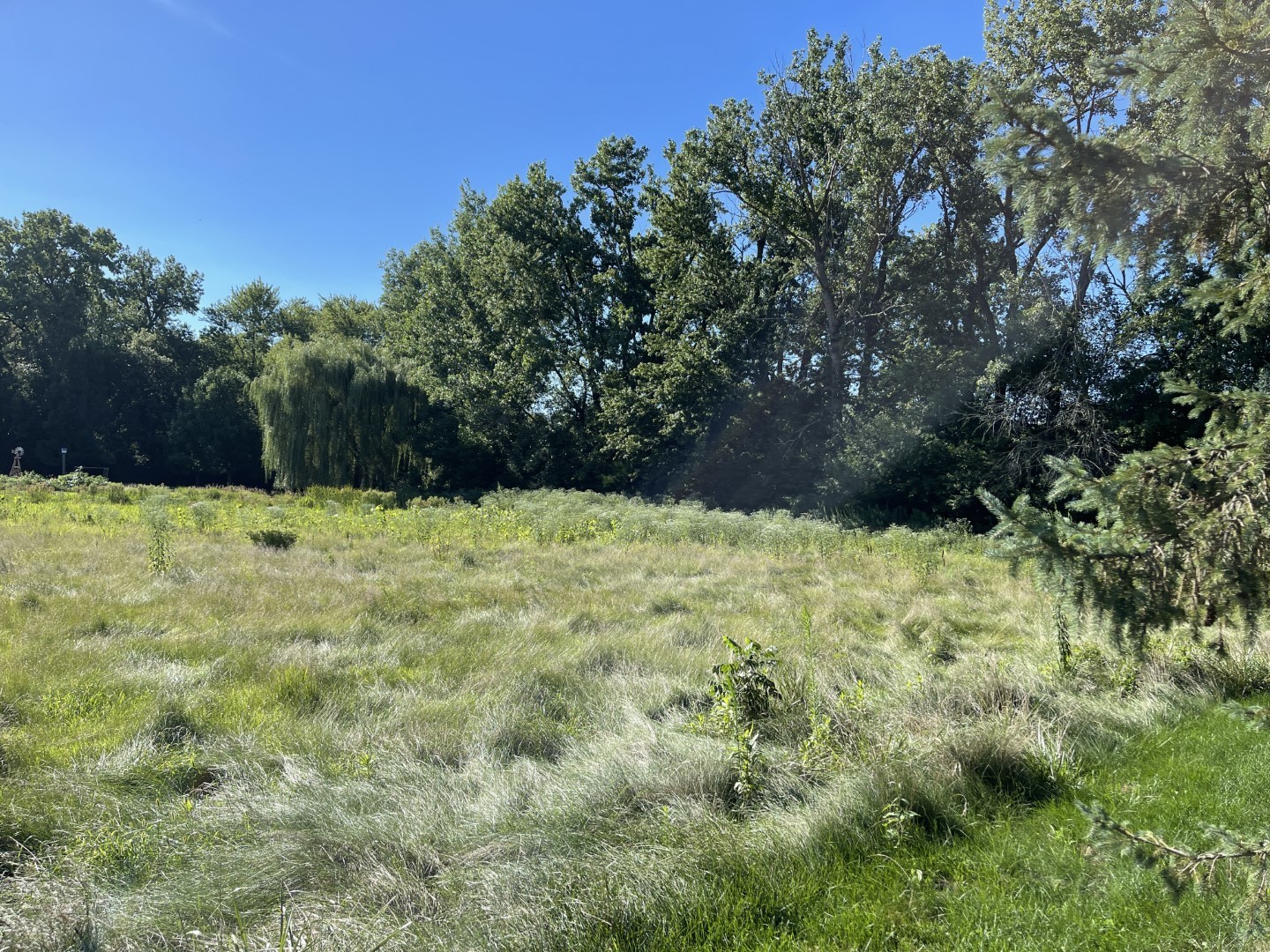 4052 Foxborough Drive Kankakee, IL 60901 - Photo 6 of 10 a view of white wall with a yard