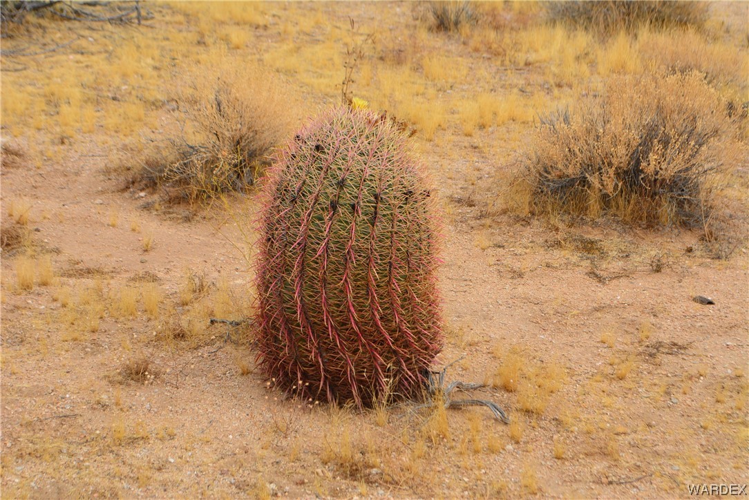 2652 Diamondback Road Yucca, AZ 86438 - Photo 33 of 46 Gallery Image 33
