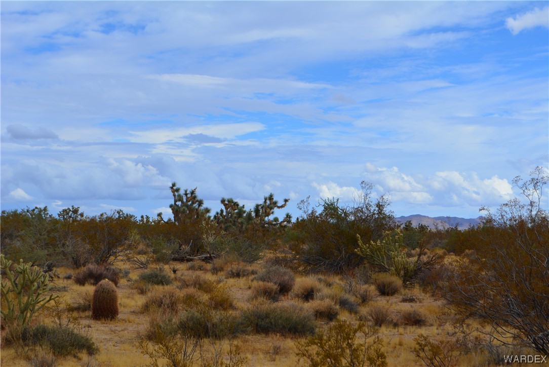 2652 Diamondback Road Yucca, AZ 86438 - Photo 40 of 46 Gallery Image 40