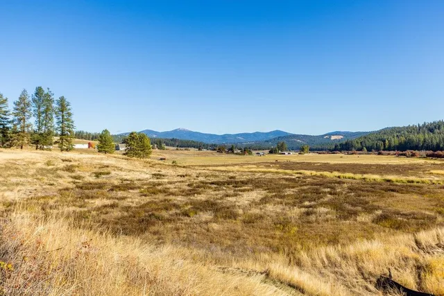 $450,000 | 13-xxx Peone Road, Mead, WA 99021