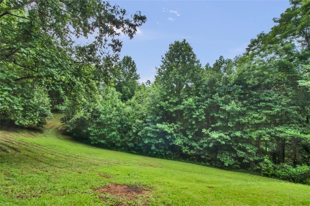 265 Holly Hill Road Suches, GA 30572 - Photo 2 of 31