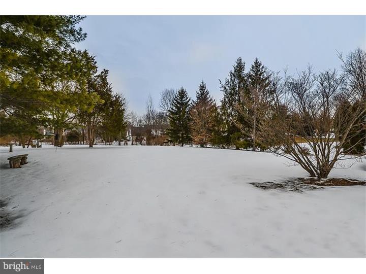 2003 Spring Valley Road Lansdale, PA 19446 - Photo 25 of 25 View in Back
