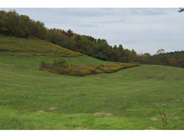 0 Crane Run Road, Unit LOT 3 Cumberland, OH 43732 - Photo 2 of 4