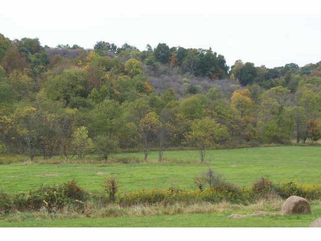0 Crane Run Road, Unit LOT 3 Cumberland, OH 43732 - Photo 4 of 4