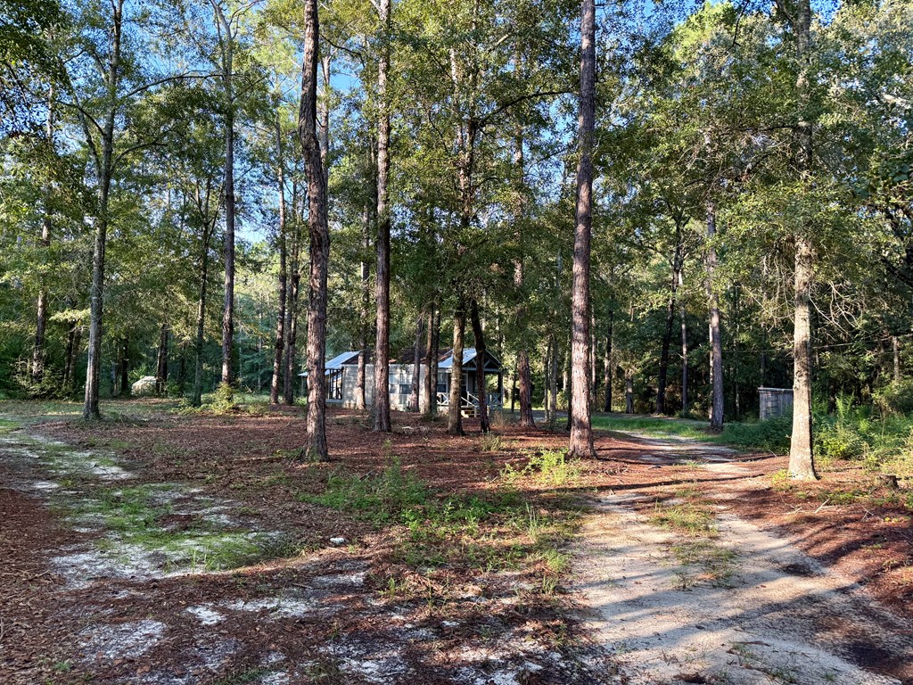 638 Gordon Road Hartford, AL 36344 - Photo 19 of 28 Gallery Image 19