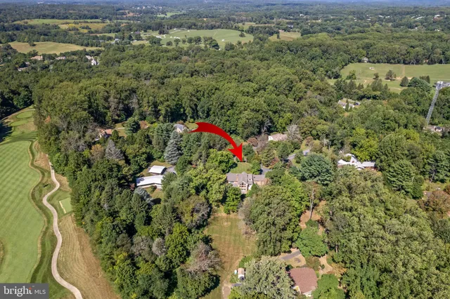a view of a forest with a street