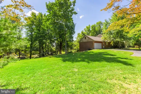 a backyard of a house with plants and large tree