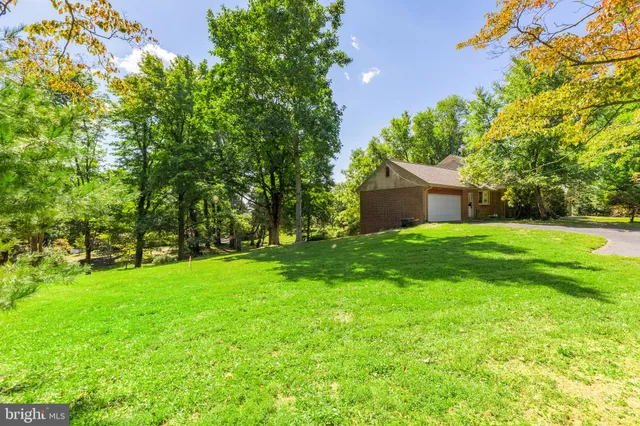 a backyard of a house with plants and large tree