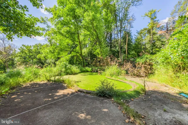 a view of a yard with an outdoor space