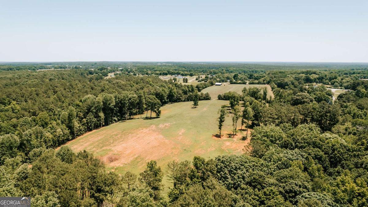 0 Mitchell Farm Road Colbert, GA 30628 - Photo 14 of 45