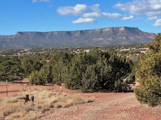 29 County Road B41E Ribera, NM 87560 - Photo 22 of 23 Mesa