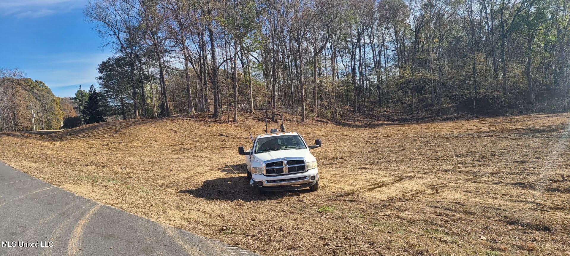 4889 Austin Road Nesbit, MS 38651 - Photo 11 of 13 Attachment_Original