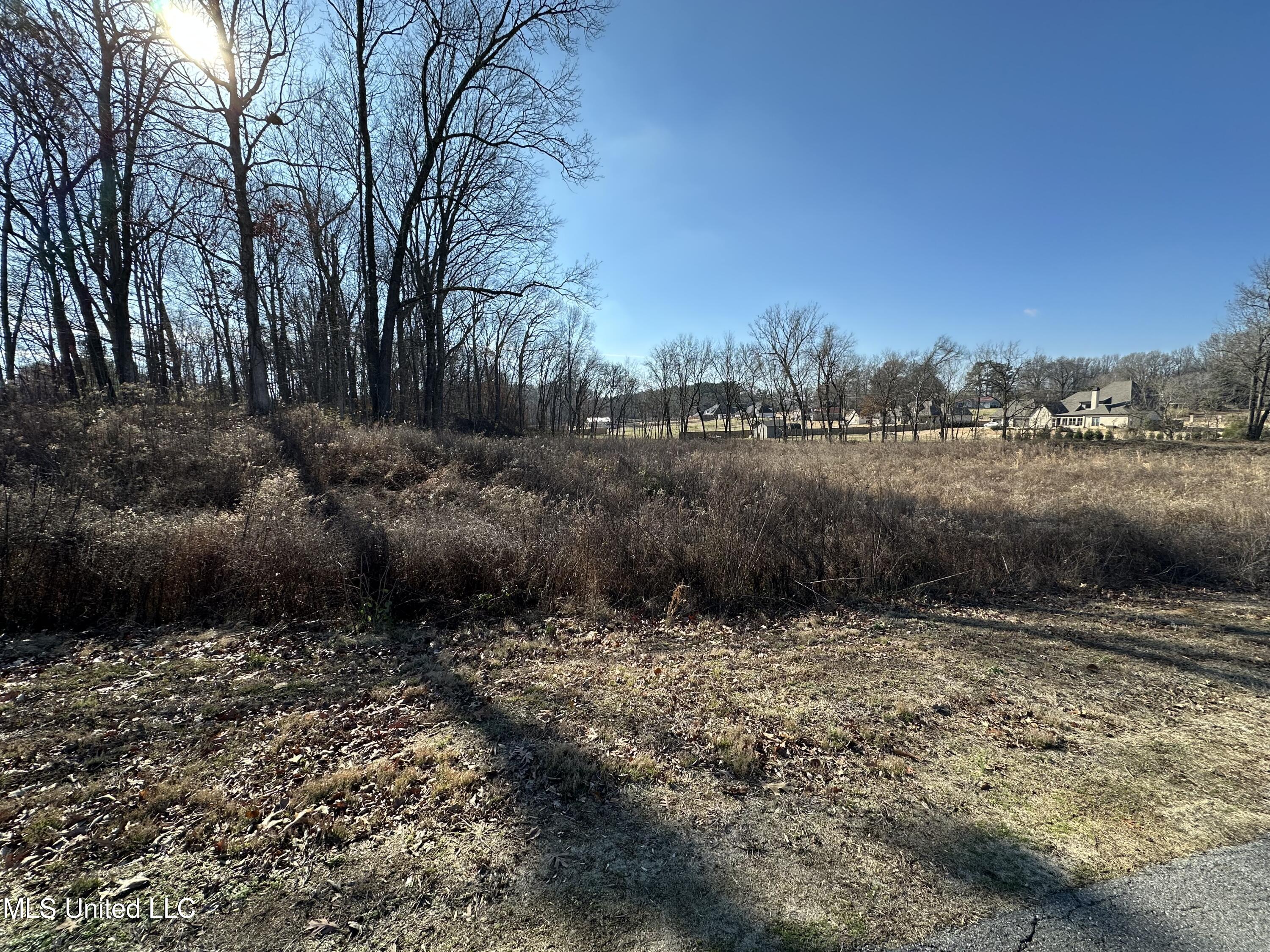 4889 Austin Road Nesbit, MS 38651 - Photo 3 of 13 IMG_4148