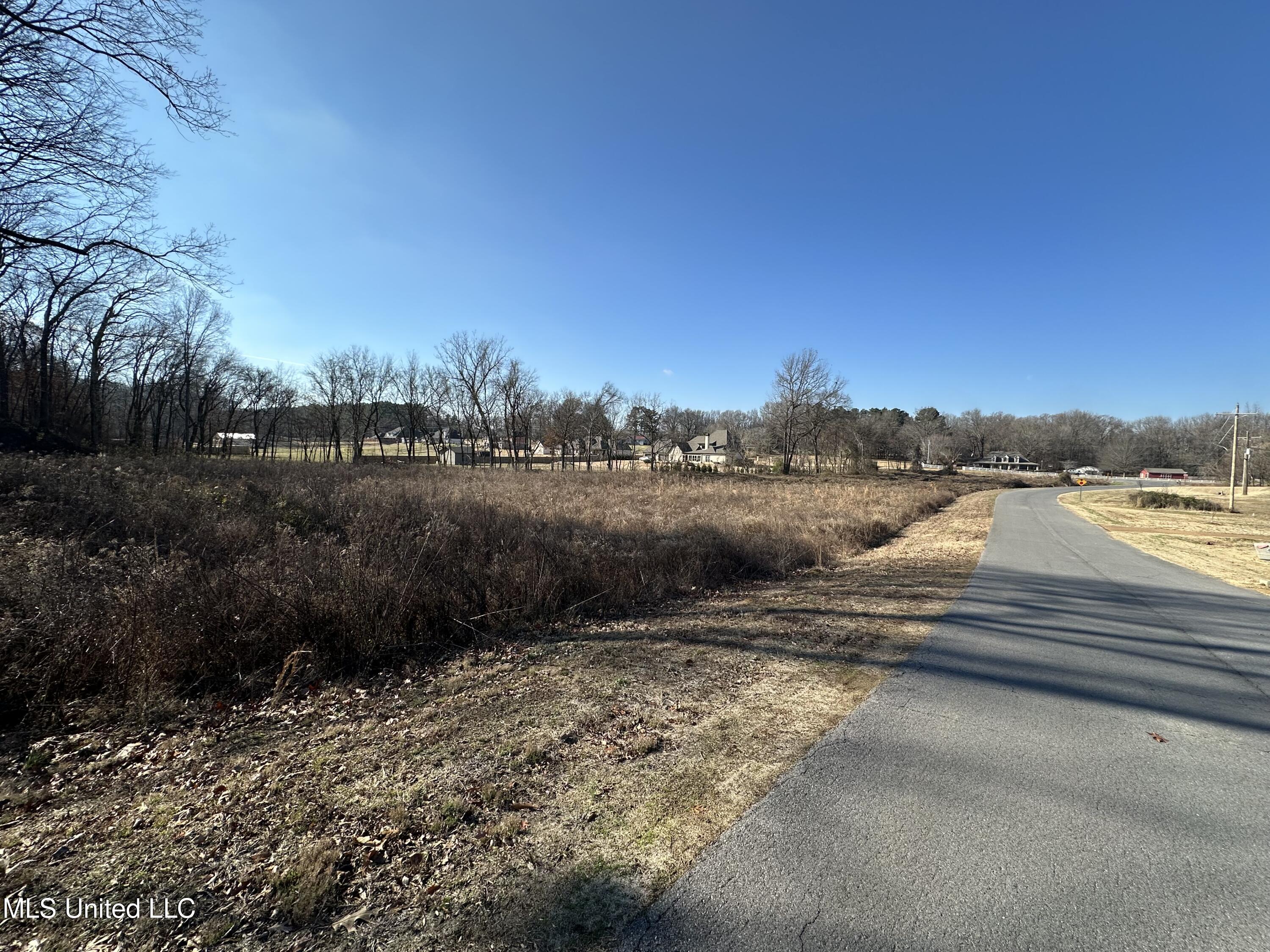 4889 Austin Road Nesbit, MS 38651 - Photo 5 of 13 IMG_4149