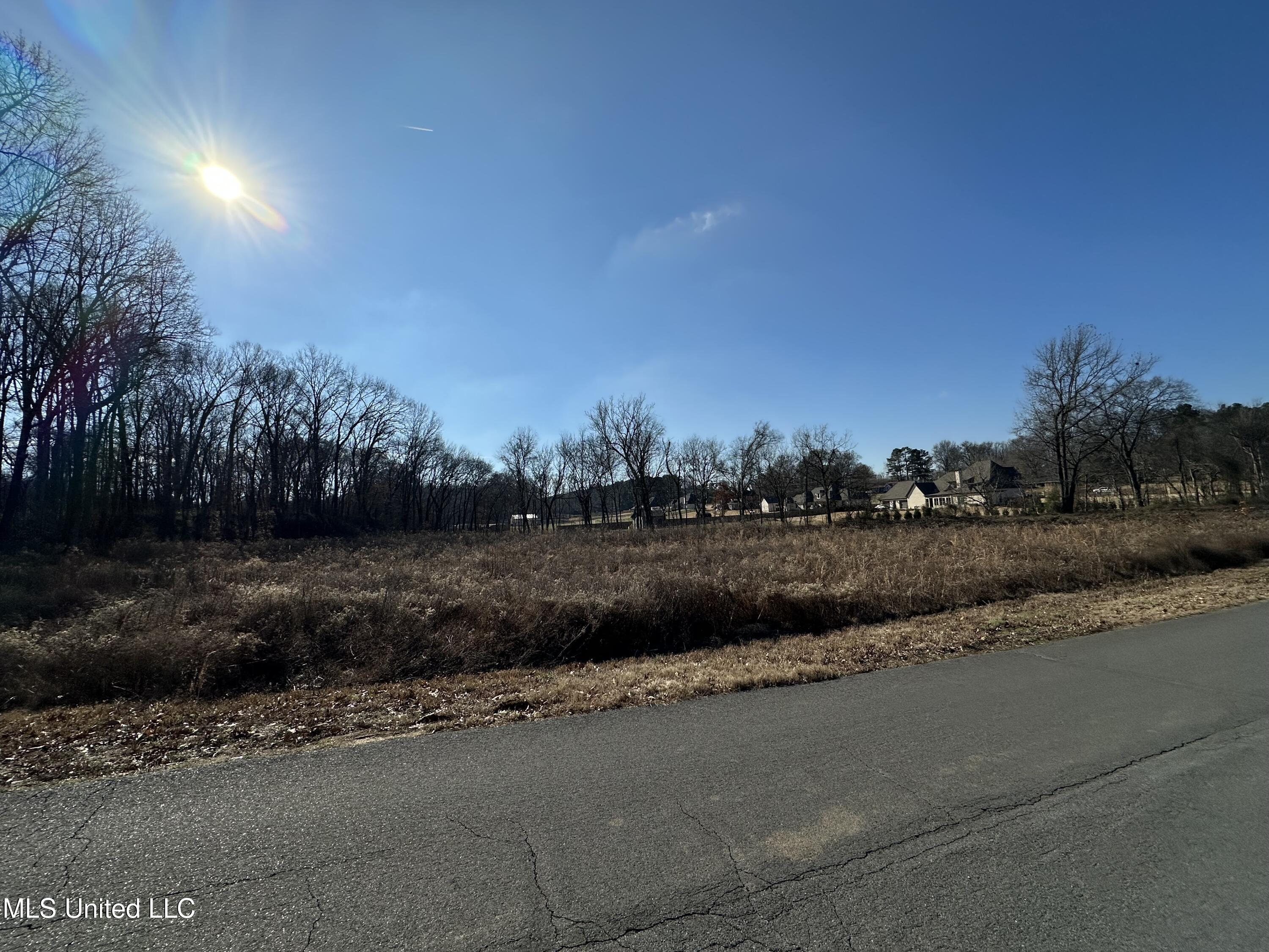 4889 Austin Road Nesbit, MS 38651 - Photo 6 of 13 IMG_4159