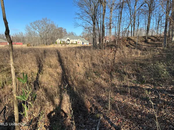 $100,000 | 4889 Austin Road, Nesbit, MS 38651