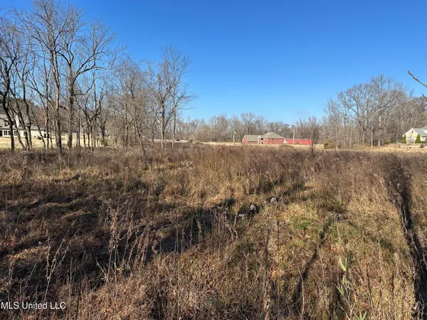 $100,000 | 4889 Austin Road, Nesbit, MS 38651