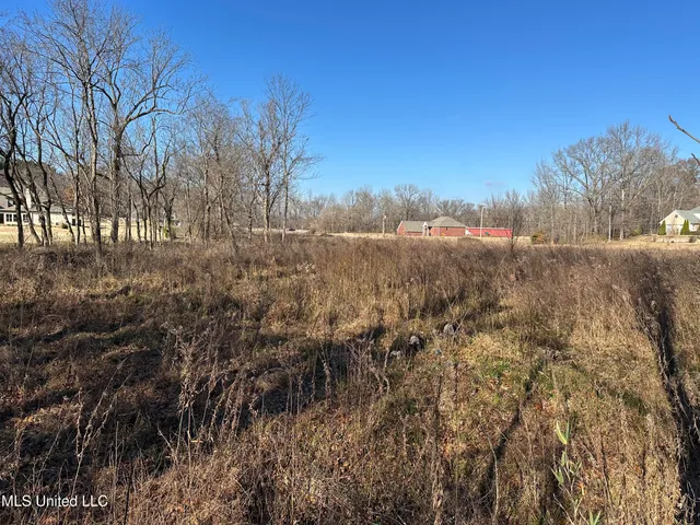 $100,000 | 4889 Austin Road, Nesbit, MS 38651