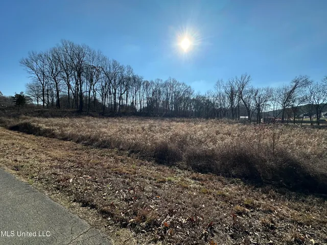 $100,000 | 4889 Austin Road, Nesbit, MS 38651