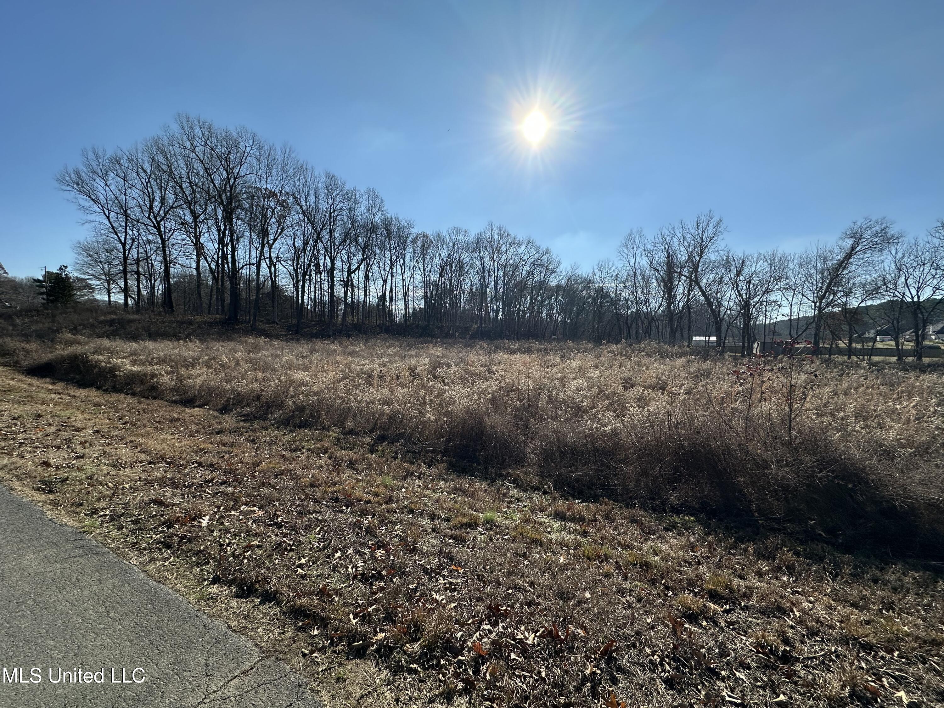 4889 Austin Road Nesbit, MS 38651 - Photo 9 of 13 IMG_4150