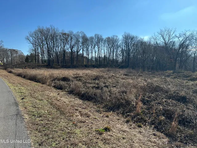 $100,000 | 4889 Austin Road, Nesbit, MS 38651