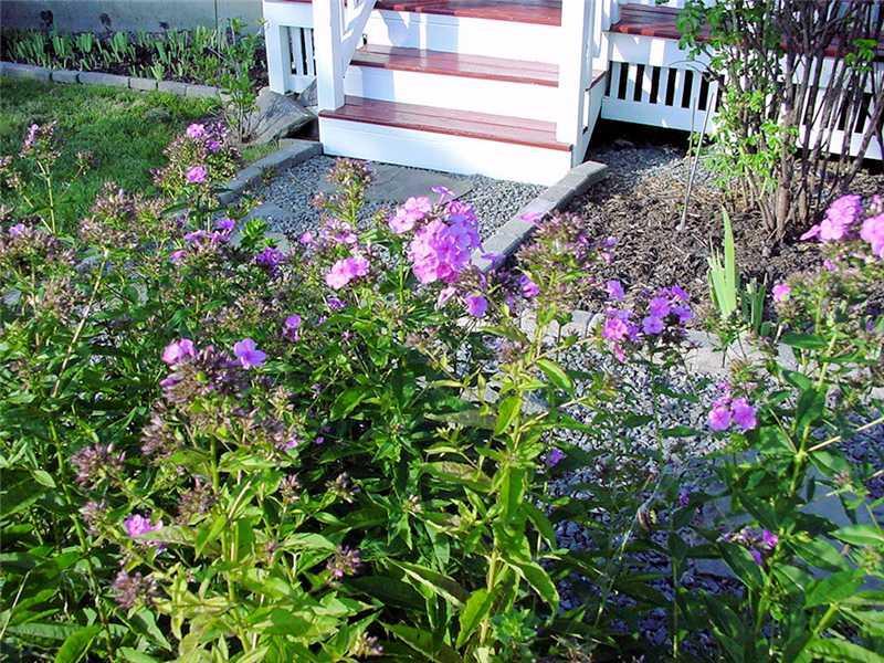 378 Morse Road New Gloucester, ME 04260 - Photo 20 of 23 Yard/Garden.