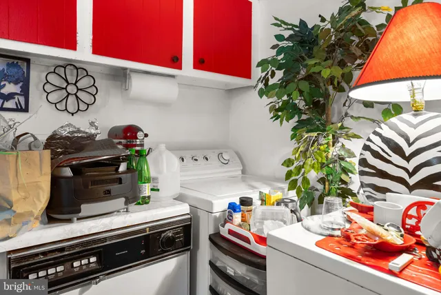 a kitchen with a potted plant on the counter
